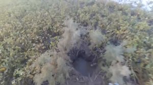 Охота на огаря (атайку) на реке Чу. Водохранилище Тасытколь. Конец сентября 2022г.