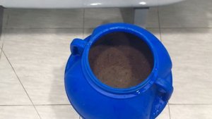 Пейсаховка. Постановка браги.