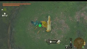 Zelda: Tears of the Kingdom задание огромная лошадь святилище исёкин
