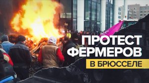 Фермеры в Брюсселе прорвали полицейскую блокаду на тракторах — видео