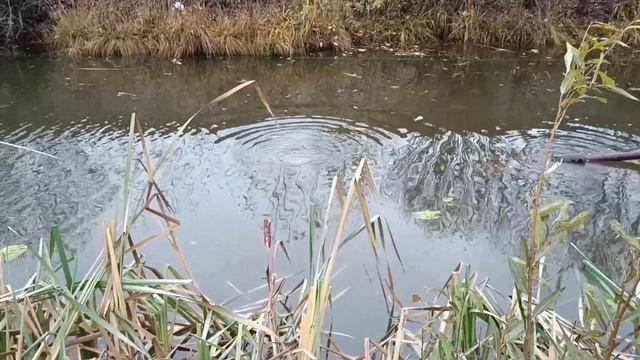 земснаряд очистка водоема. смотреть онлайн