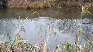 земснаряд очистка водоема.