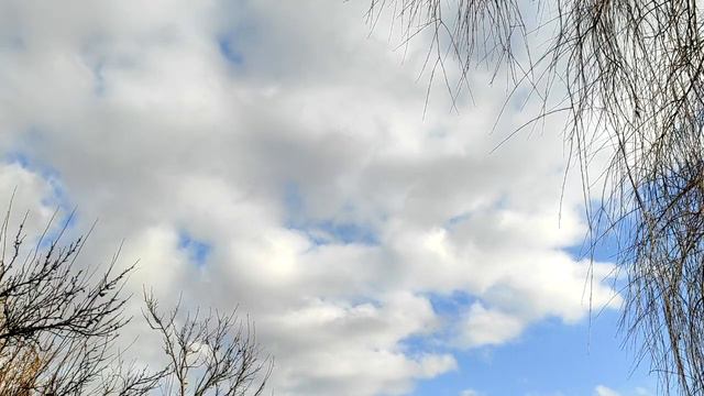 5 стадий близости (и почему важно знать, на какой из них вы находитесь) смотреть онлайн