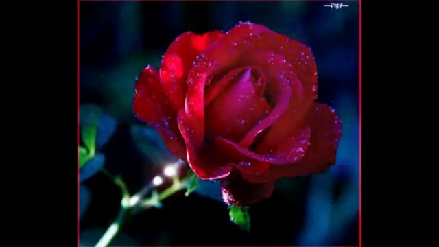 !!!ЖЕНЩИНЕ!!! смотреть онлайн