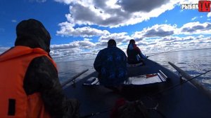 Креницы. Ловля окуня на Ладоге на Джиг. Ловля окуня в сентябре.