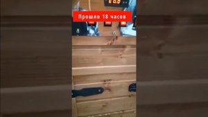 Первый запуск коптильни Древос