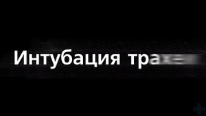 Интубация трахеи. Tracheal intubation 3D