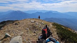 Встреча с медведями на горе Ачишхо (Zapy VLOG)