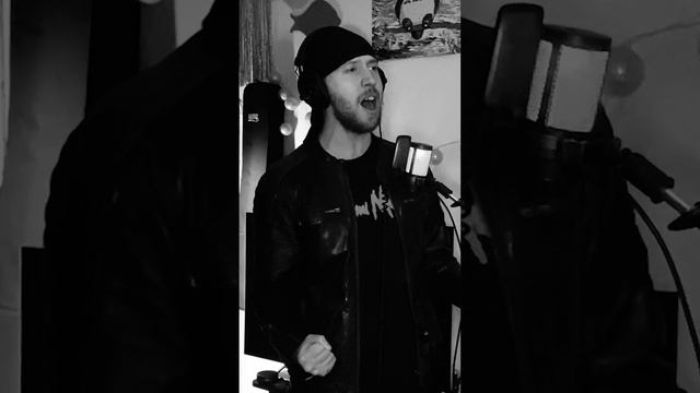 Максим ФАДЕЕВ & Григорий ЛЕПС - Орлы или вороны кавер ArtmArtVoice