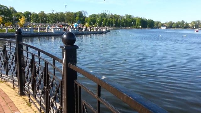 Калининград 6.05.2018 смотреть онлайн