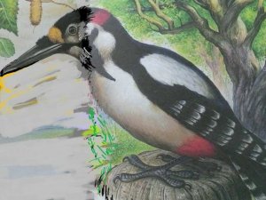 Виталий Бианки - Нос (2 часть)