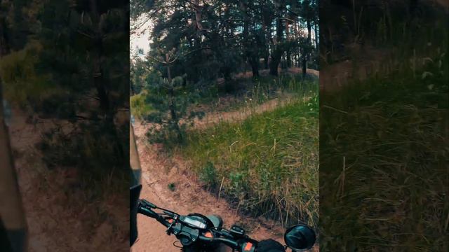 Как я ориентируюсь в лесу🤣 #motovlog #scrambler #dirtbike #эндуропокатушки #питбайк #bike #дваколес