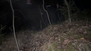 ПРОДА ДЕКСТРА ЭКСКЛЮЗИВ|МЛАДШАЯ СЕСТРА ВСТРЕЧАЕТСЯ с БОТАНОМ! #декстер #нарезки #нарезкидекстер