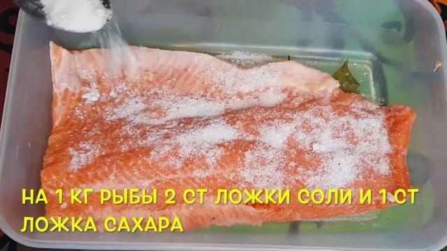 СЁМУЖНЫЙ посол РЫБЫ. ИДЕАЛЬНЫЙ рецепт засолки рыбы
