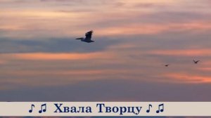 В синее небо птенцы взлетят