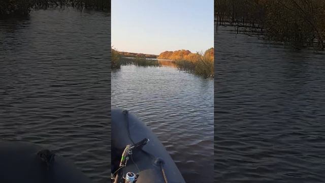 Окольная Сухона около Устья Вологды смотреть онлайн