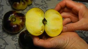 Томат Great white blues.Тест спелых плодов.