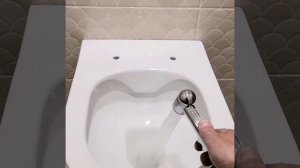 Установка инсталляции и гигиенического душа в квартире