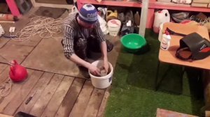 Выделка Енотовидных шкур .
