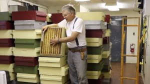 Как снизить влажность мёда? Дегидратация (Сушка) (Гвелф, Канада)