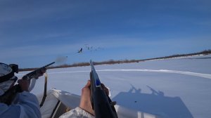 1 часть. УДАЧНАЯ ОХОТА НА ГУСЯ В ЯКУТИИ - СЕЗОН 2024: 1 ЧАСТЬ. GOOSE HUNTING YAKUTIA