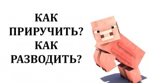 Как приручить свинью в майнкрафте? Как разводить свиней в майнкрафте?