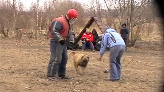 Малинуа Ден (Красноярск), 2 место, Б смотреть онлайн