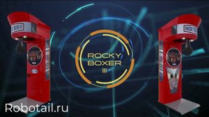 Силомер боксер RockyBoxer III