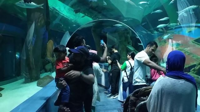 2019 UAE Trip | Day-5 | Al Qusais Lulu Hypermarket | Sharjah Aquarium | Rolla смотреть онлайн