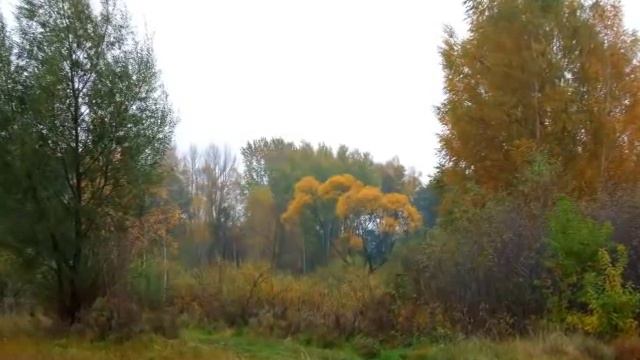 Czerwone Gitary -  Droga, którą idę.