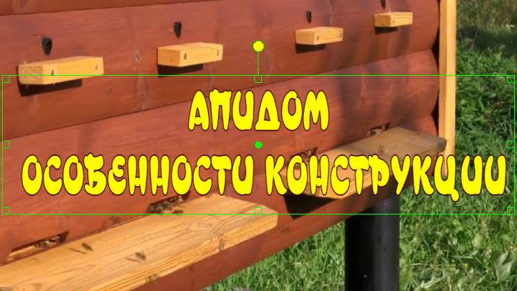 АПИДОМ. ОСОБЕННОСТИ КОНСТРУКЦИИ. СОН НА ПЧЁЛАХ. смотреть онлайн