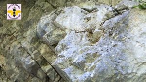 В Аибгу за матками. Кавказянка