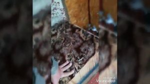 Купил домик для рыбалки