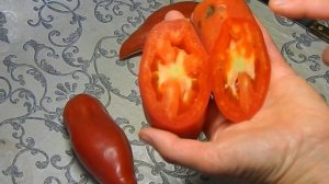 Томат Розовый тюльпан. Тест спелых плодов №2.