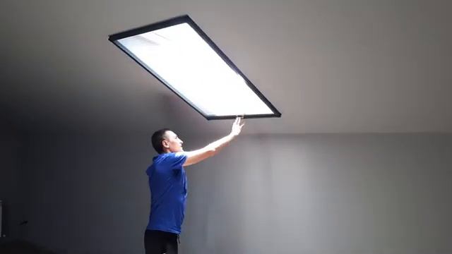 video5465398991430637499