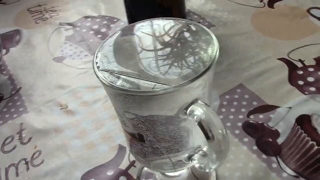 ПЛАВАЕТ ЛИ ЗОЛОТО, ЕСЛИ "ДА", ТО ПОЧЕМУ?