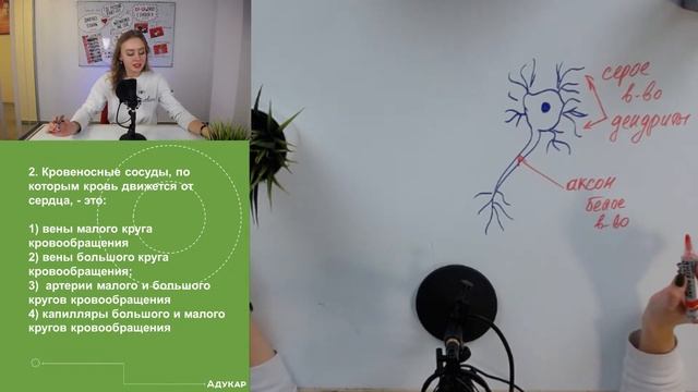 ЕГЭ-форум. Биология. Самые сложные понятия в Биологии человека (кровеносная система+строение гм) смотреть онлайн