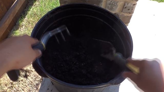 Growing Microgreens and Reusing Soil смотреть онлайн