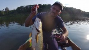 Tohatsu m9.8bs "Тохарь на барже", часть 2 "Его Величество - Жерех".