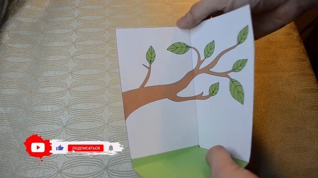 Делаем поделку из бумаги!) Жизненный цикл бабочки!) смотреть онлайн