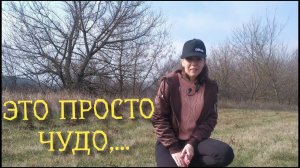 Коп 2019. ЭТО ПРОСТО ЧУДО, то что, я ее нашла!