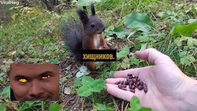 ?️ Готовьтесь к удивительным фактам о белках! ?️