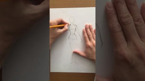 Пропорции женского тела