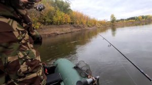 ОЧЕНЬ УДАЧНО ЗАЦЕПИЛСЯ... Ловля щуки на Ахтубе осенью на спиннинг