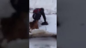 Мальчик упал в главно