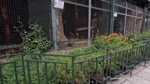 Екатеринбургский зоопарк