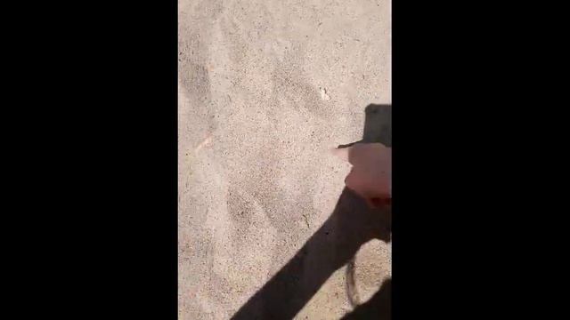 влог|из Новгорода #пляж Новгородский пляж там очень круто¡! смотреть онлайн