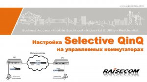 Настройка Selective QinQ Tunneling на управляемых коммутаторах