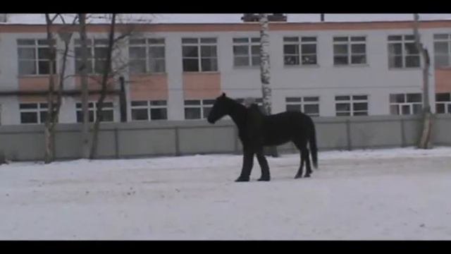 Произвольная.Разбойница и Плакса.2уровень.Зима 2012