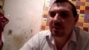 10 причин плохой яйценоскости перепелов.